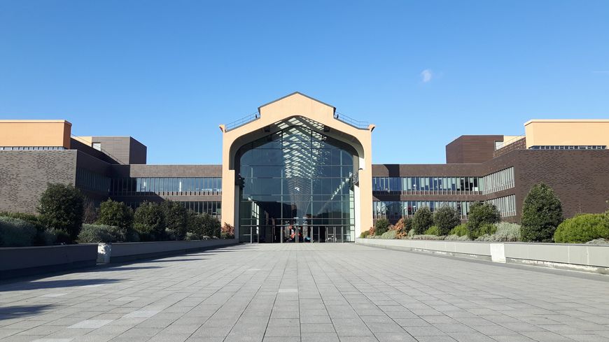 quelle école pour devenir scénariste